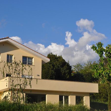 B&B Terra Del Sole Valmontone Kültér fotó