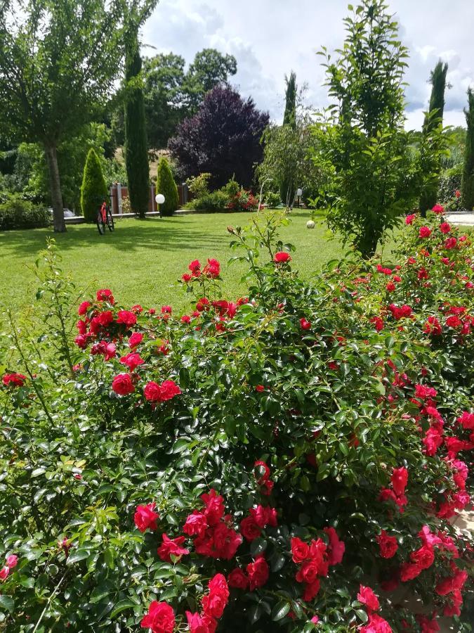 B&B Terra Del Sole Valmontone Kültér fotó
