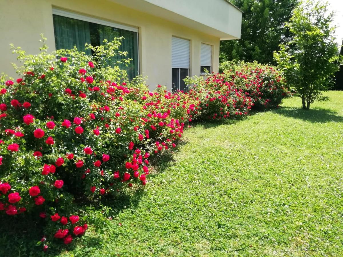 B&B Terra Del Sole Valmontone Kültér fotó